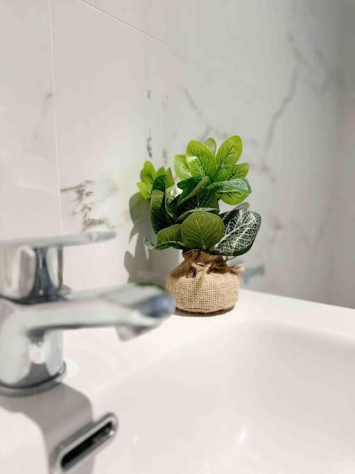 Willa - Cabanyal Boutique Walencja Zewnętrze zdjęcie