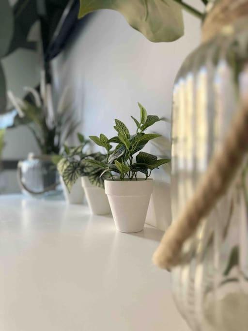 Willa - Cabanyal Boutique Walencja Zewnętrze zdjęcie